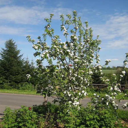 Bed & Breakfast Farmer Annekset Ravning Bredsten (Velje)